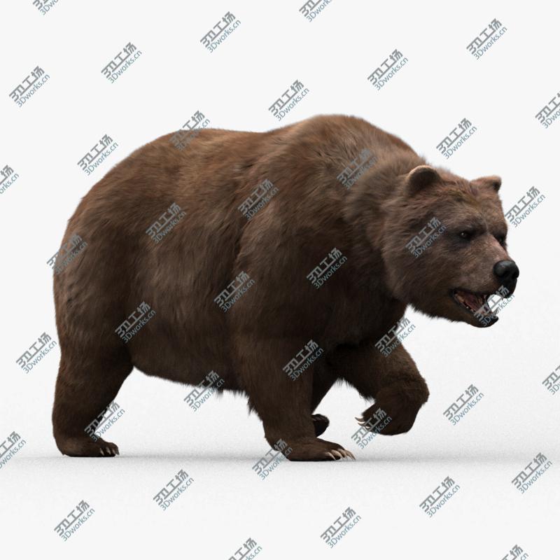 images/goods_img/202104091/3D model Bear Animated/1.jpg